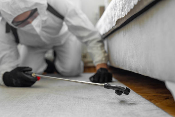 Professional Termite Control technician working in Clayton, IN