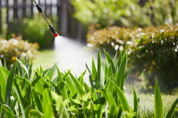 24/7 Emergency Termite Control experts in Clayton, IN